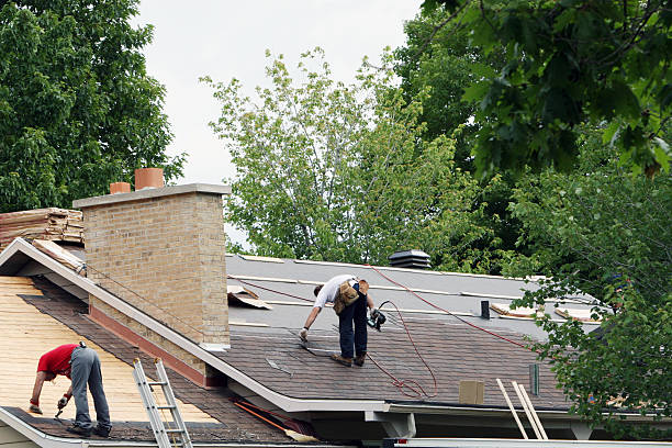 Best Roof Gutter Cleaning  in Tallapoosa, GA