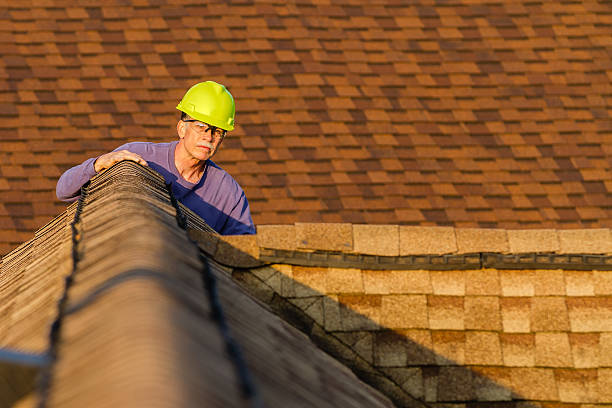 Roof Gutter Cleaning in Tallapoosa, GA