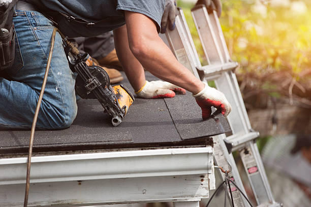 Best Metal Roofing Contractor  in Tallapoosa, GA
