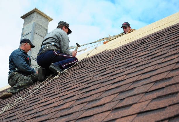 Best Storm Damage Roof Repair  in Tallapoosa, GA